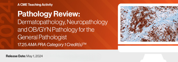 2024 Pathology Review: Dermatopathology, Neuropathology and OB/GYN Pathology for the General Pathologist