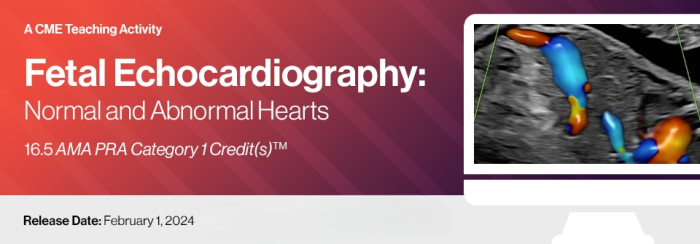 2024 Fetal Echocardiography: Normal and Abnormal Hearts – A Video CME Teaching Activity