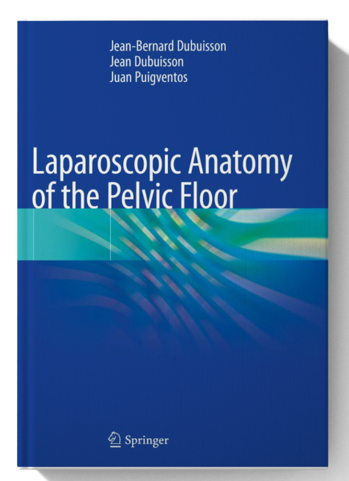 Laparoscopic Anatomy of the Pelvic Floor