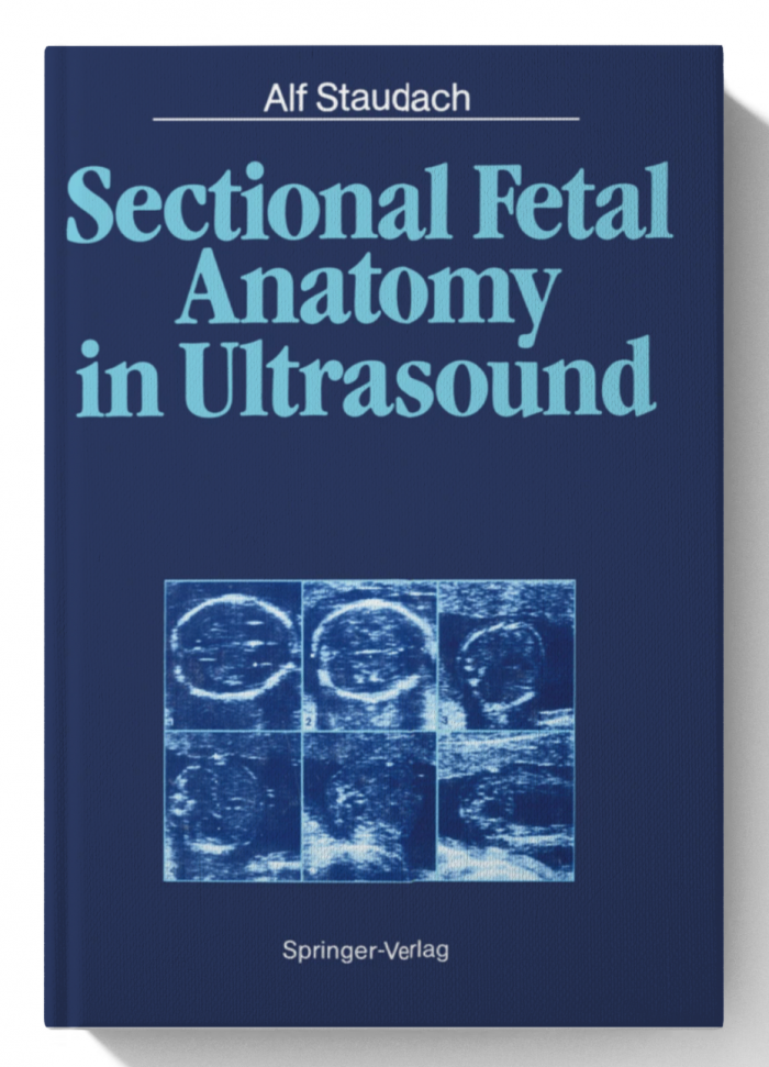 Sectional Fetal Anatomy In Ultrasound