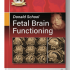 Donald School Fetal Brain Functioning 1st Edition